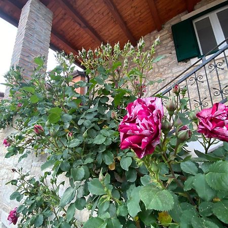 Villa Kortina Bašanija Dış mekan fotoğraf